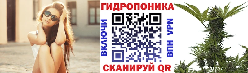 Какие есть наркотики Зеленогорск Марихуана  Вейп ТГК  Мефедрон  АМФЕТАМИН 