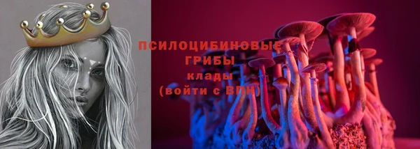 прущие крисы Абинск